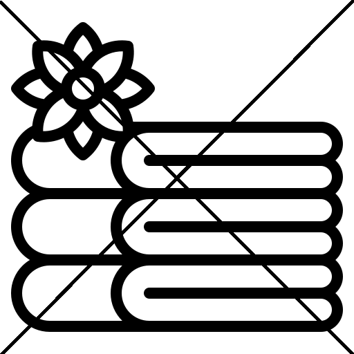 Linge de toilette non fourni