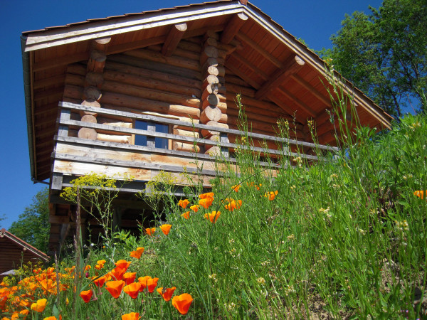 Ecogîtes du Forez - Chalet des papillons