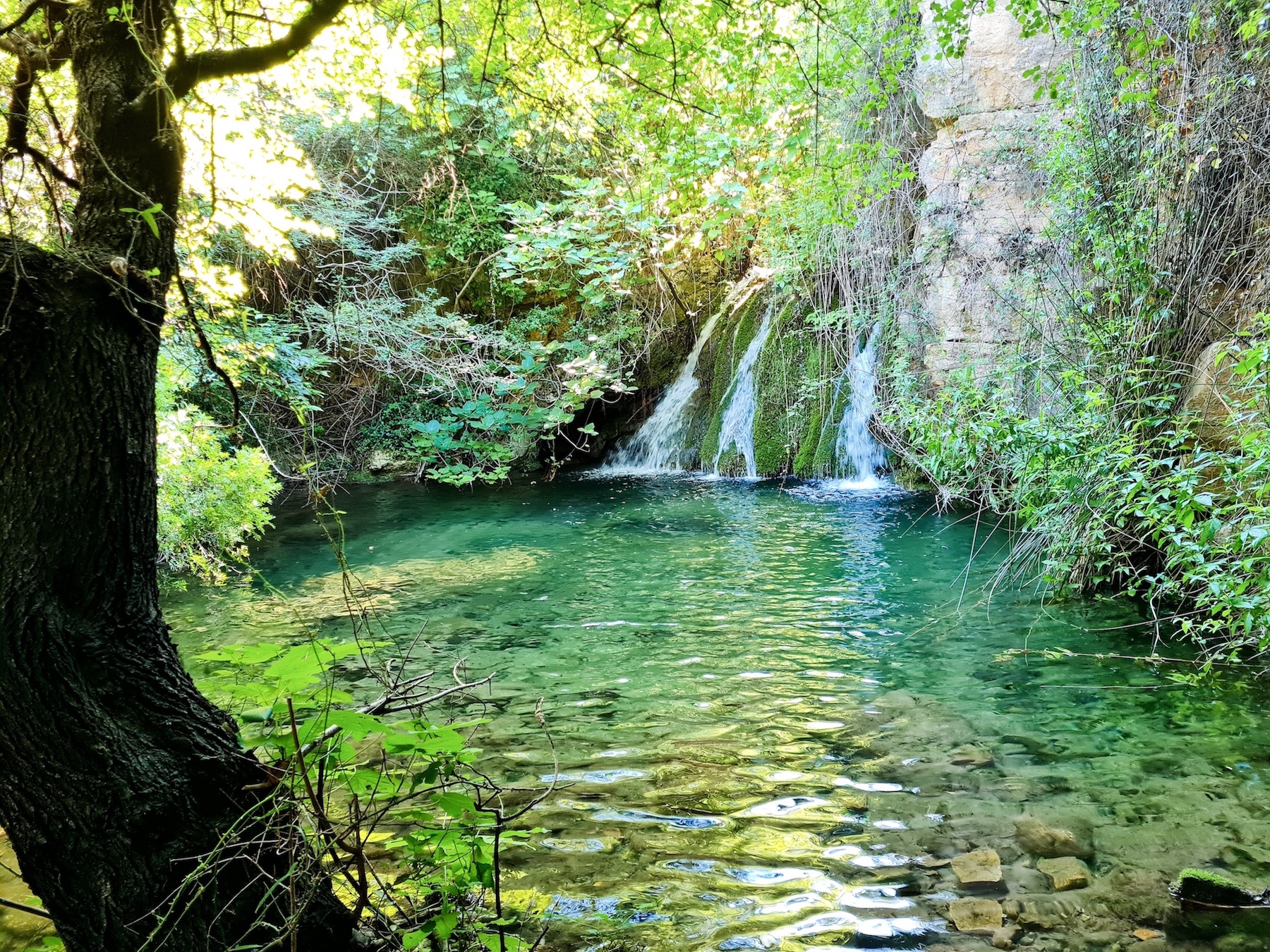 Chambre double Lever du soleil dans magnifique demeure rustique