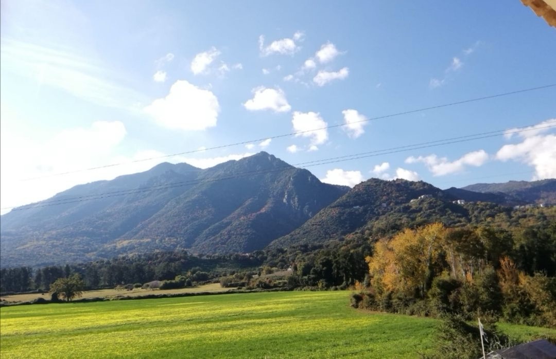 CAVONI : Magnifique villa proche de la mer