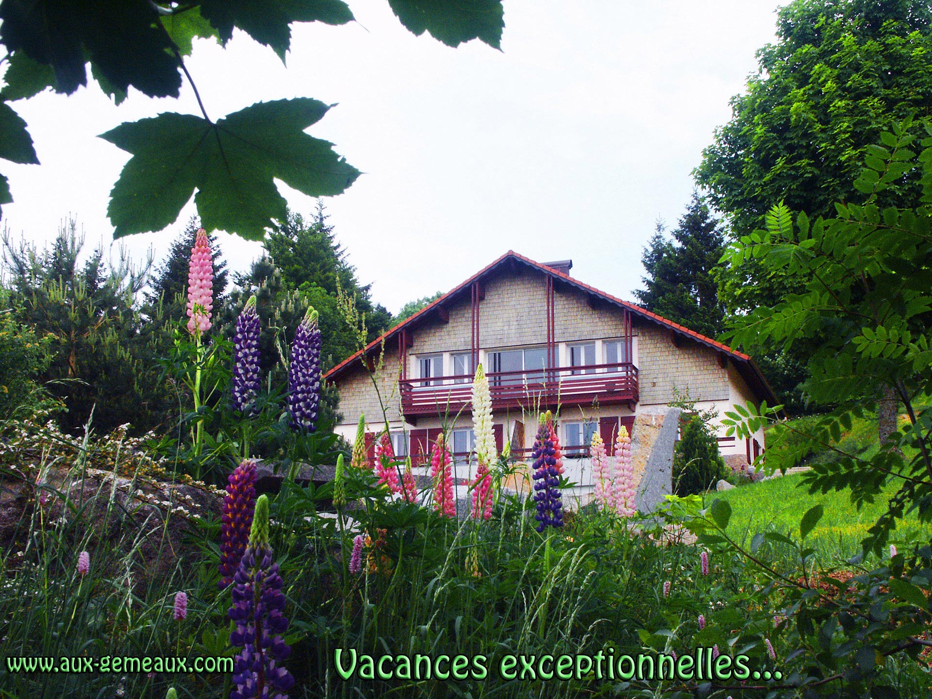 Domaine des Gémeaux - les Coquelicots (avec piscine intérieure chauffée)